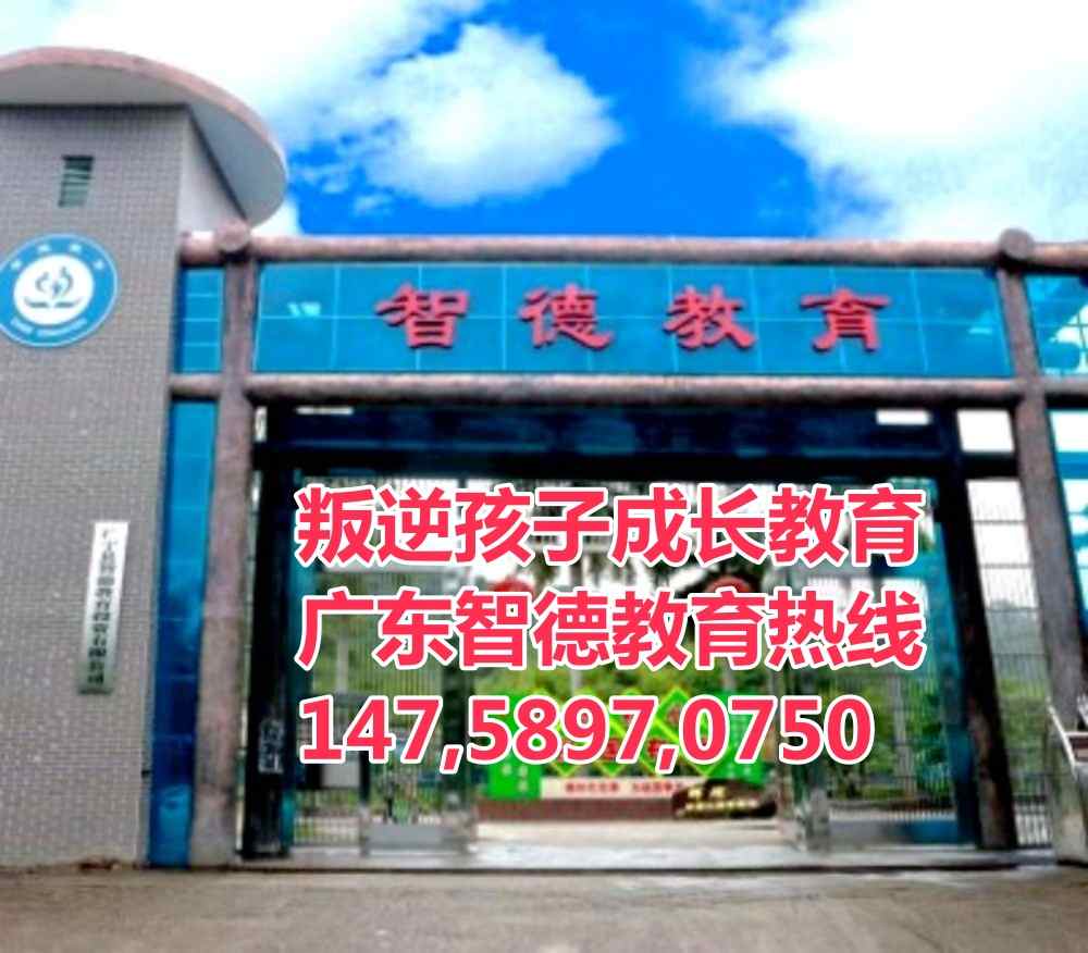 清远叛逆网瘾逃学早恋青少年孩子教育学校,广东智德教育师资专业评价很好
