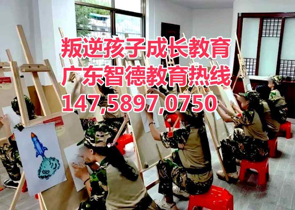 清远叛逆网瘾逃学早恋青少年孩子教育学校,广东智德教育师资专业评价很好