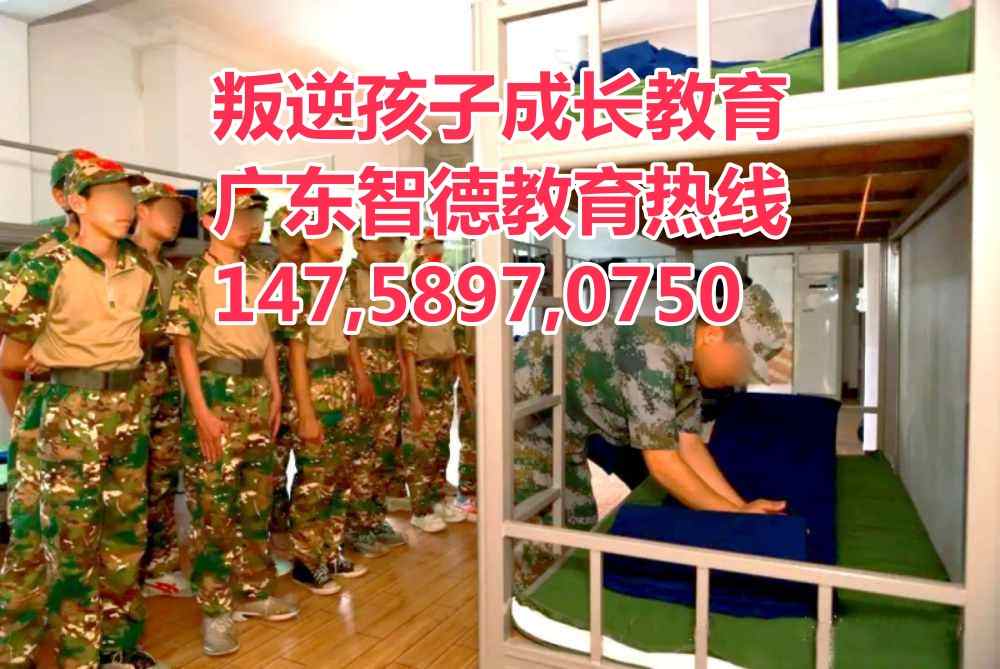 肇庆叛逆孩子学校,肇庆叛逆孩子教育学校,广东智德教育招生电话147,589,70750