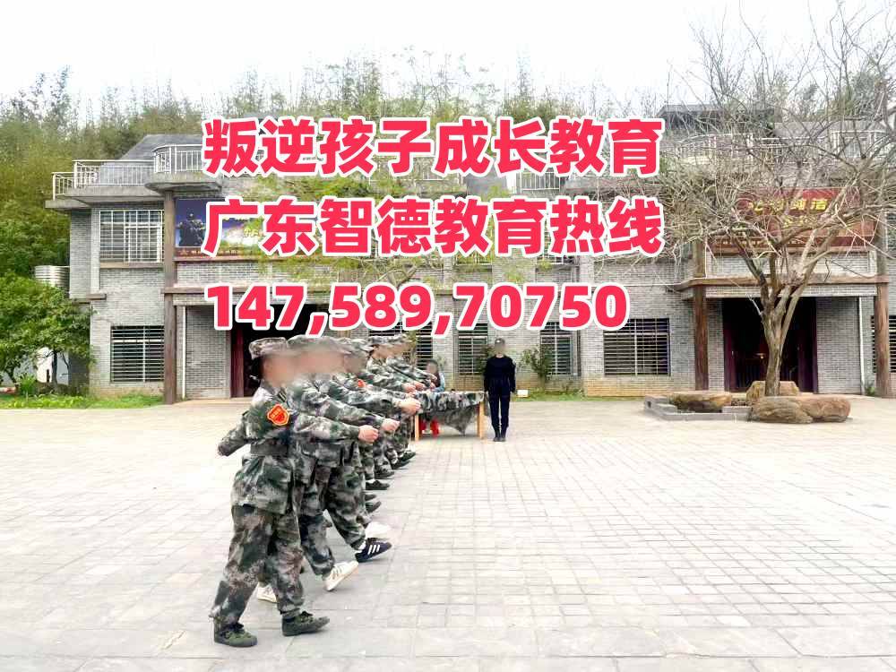 肇庆叛逆孩子学校,肇庆叛逆孩子教育学校,广东智德教育招生电话147,589,70750