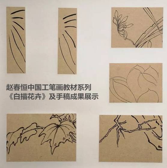 赵春恒中国工笔画教材系列——《白描花卉》及手稿成果展示
